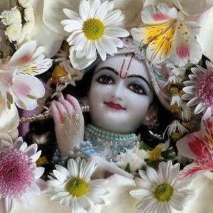 Meet your Posher, Bindu